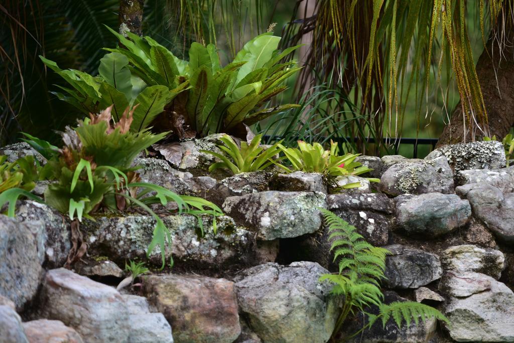 Mccarthy Lake House Maleny Exterior foto